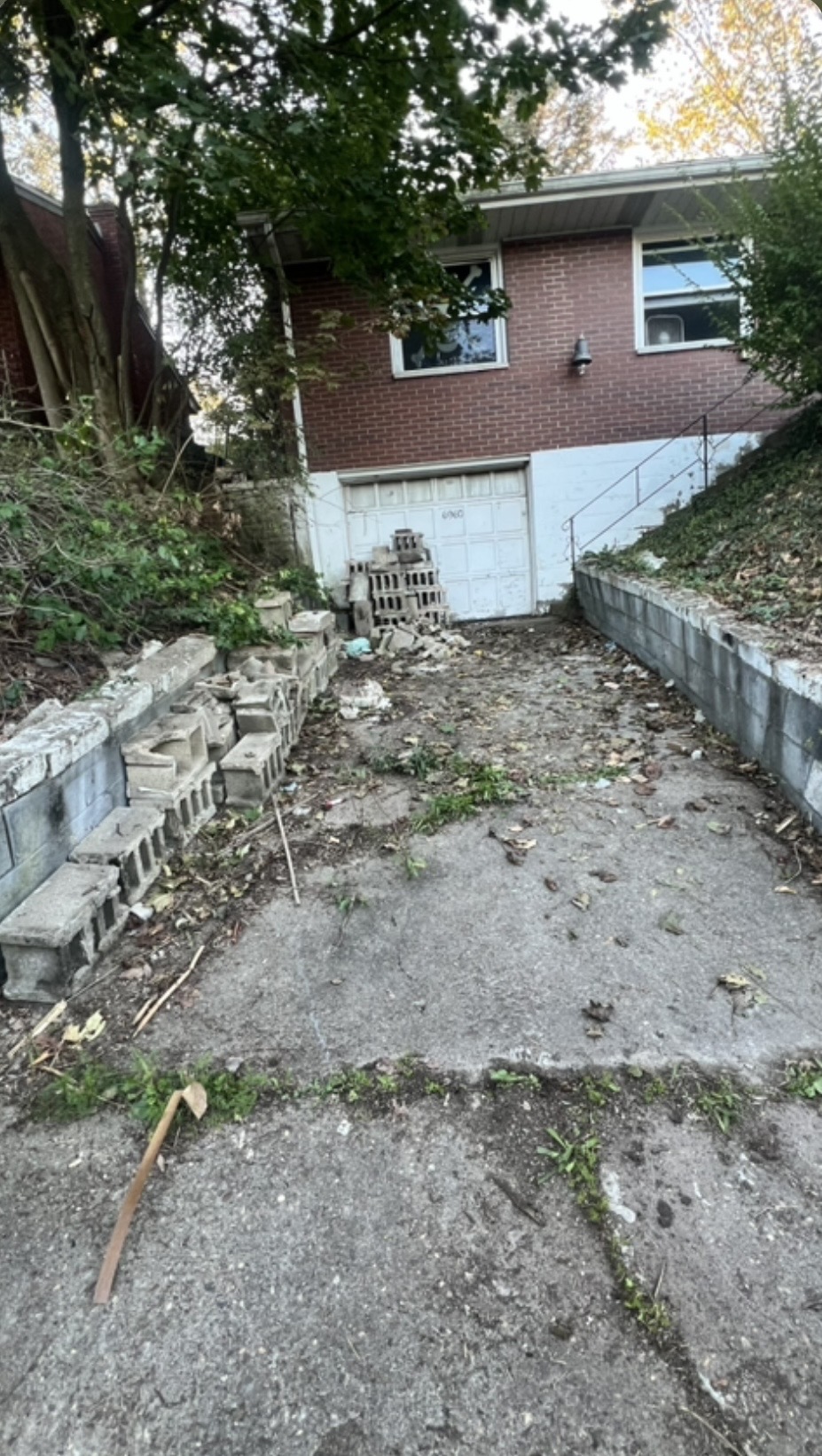 Driveway cleanout after